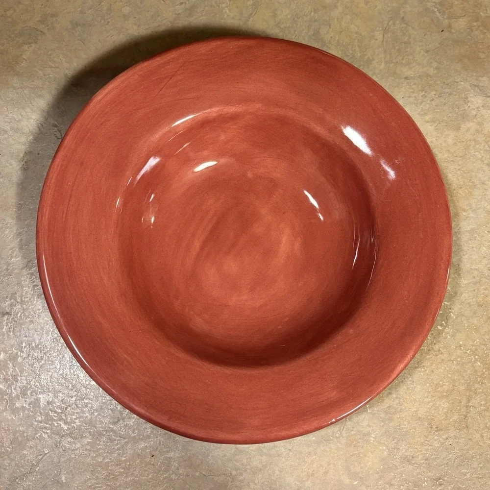 Pottery Barn SAUSALITO Dusty Pink Wide Rimmed Bowl 10